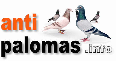 Antipalomas | Soluciones efectivas contra los problemas de las palomas